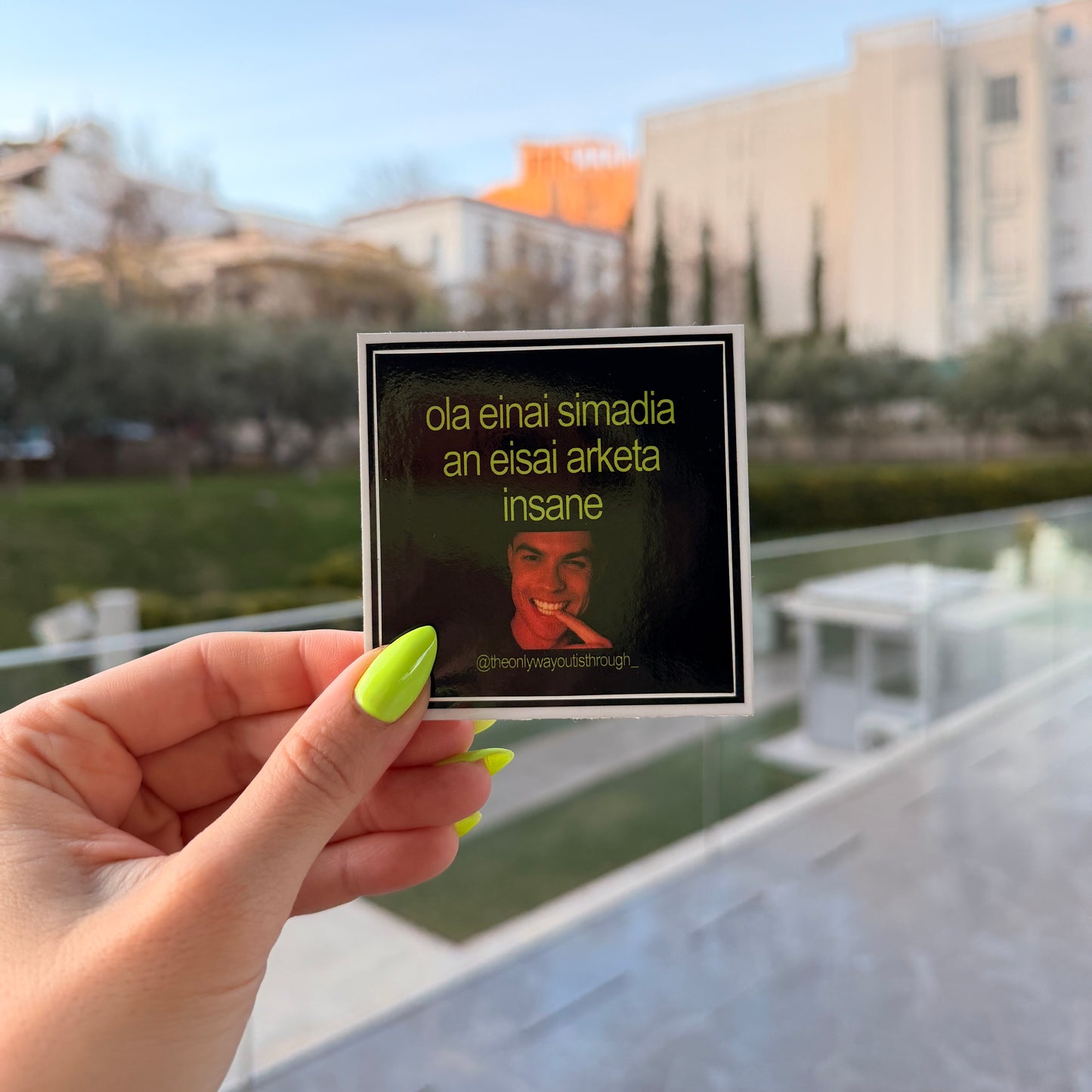 insane (meme) - 1 sticker