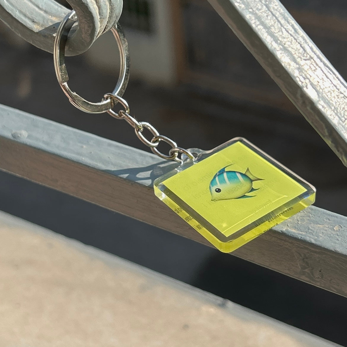 🐠towoit plexiglass keychain - amnisia🐠
