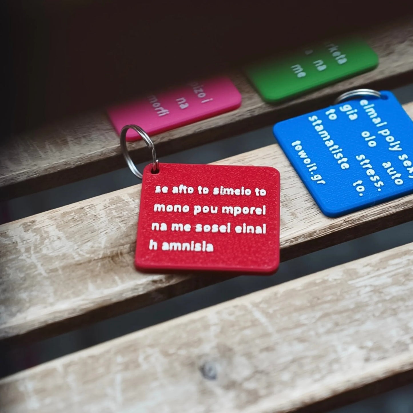 🐠towoit 3D keychain - amnisia🐠