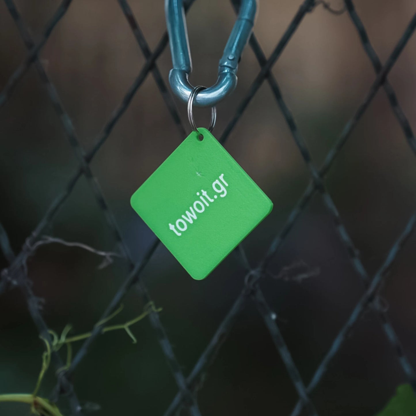 🍒towoit 3D keychain - omorfi🍒
