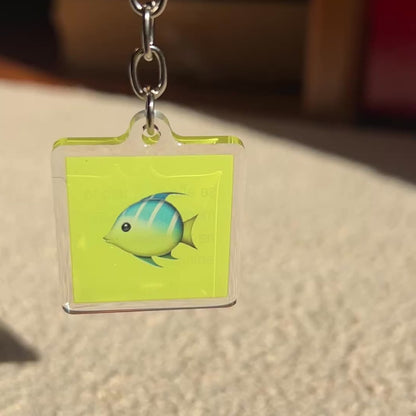 🐠towoit plexiglass keychain - amnisia🐠